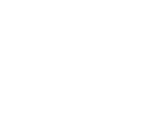 Red Star FC